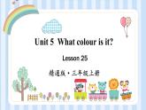 Unit 5  What colour is it？.Lesson 25（课件）人教精通版英语三年级上册