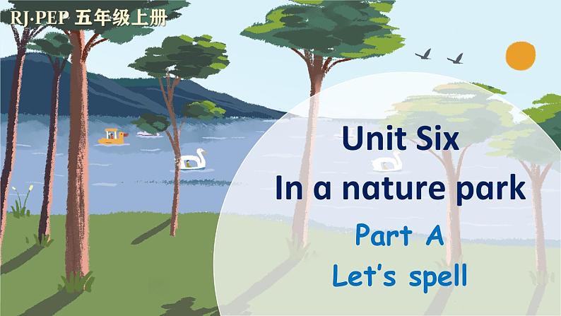 Unit 6 In a nature park  Part A 第3课时（课件+音视频素材）01