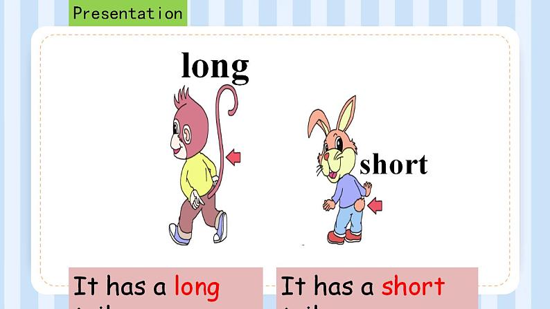 Unit 6  I’m tall. Lesson 32（课件）人教精通版英语四年级上册03