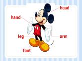 Unit 6  I’m tall. Lesson  31（課件）人教精通版英語四年級上冊