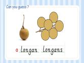 Unit 6 It’s a grapefruit .Lesson 36（課件）人教精通版英語五年級上冊