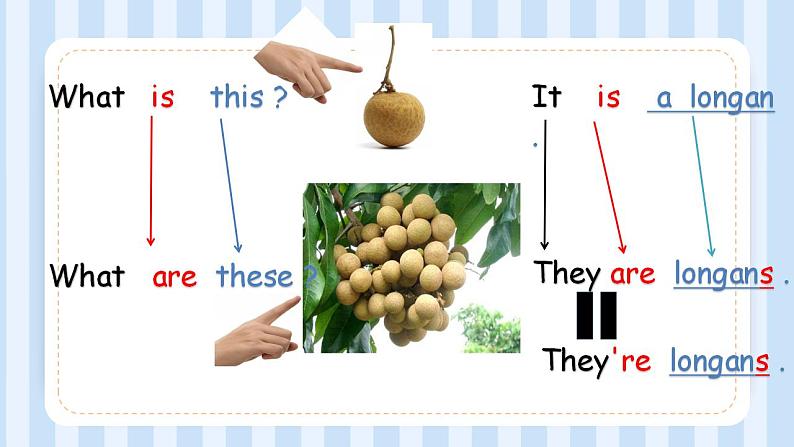 Unit 6 It’s a grapefruit .Lesson 36（课件）人教精通版英语五年级上册第4页