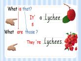 Unit 6 It’s a grapefruit .Lesson 36（課件）人教精通版英語五年級上冊