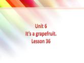Unit 6 It’s a grapefruit .Lesson 36 （课件）人教精通版英语五年级上册
