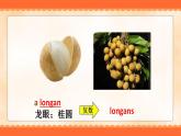 Unit 6 It’s a grapefruit .Lesson 36 （课件）人教精通版英语五年级上册