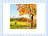 Unit 6  There are four seasons in a year. Lesson 35（课件）人教精通版英语六年级上册