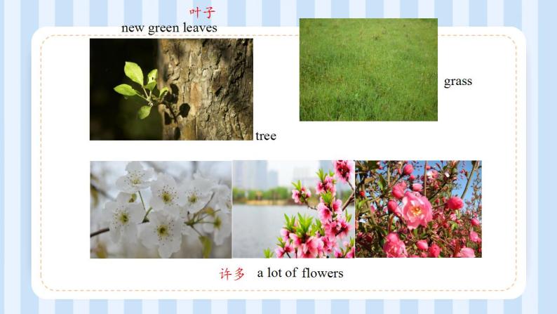 Unit 6  There are four seasons in a year. Lesson 31 （课件）人教精通版英语六年级上册06
