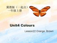 冀教版 (一年级起点)Unit 4 ColoursLesson 22 Orange Brown优秀课件ppt