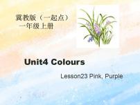 小学英语Lesson 23 Pink, Purple一等奖课件ppt
