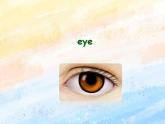 冀教版（一起）2上英语 Lesson 9 I  See with My  Eyes 课件+教案
