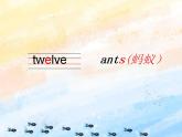 冀教版（一起）2上英语 Lesson 14 Numbers  11-13 课件+教案