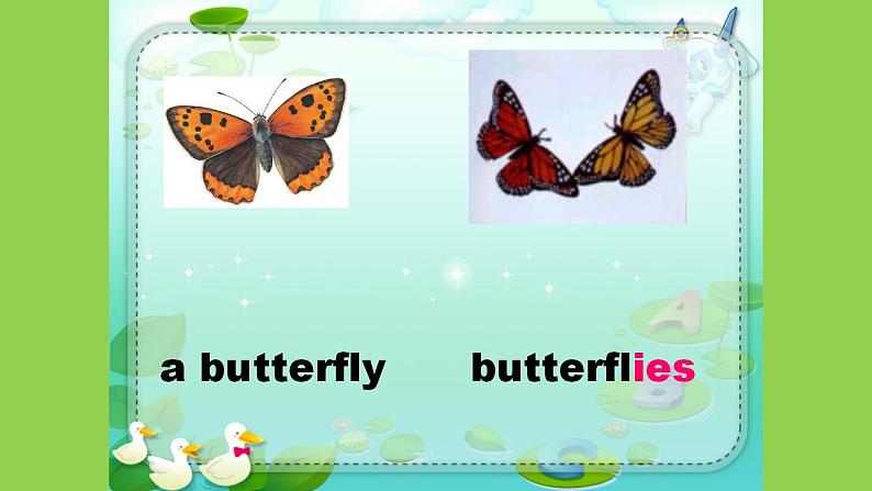 Unit 12 Beautiful butterflies（课件） 新世纪英语四年级上册07