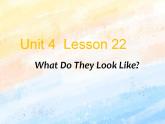 冀教版（一起）3上英语 Lesson 22 What Do They Look Like 课件+教案