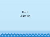 Unit 2 A new boy？（课件） 新世纪英语二年级上册