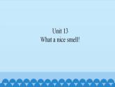 Unit 13 What a nice smell!（课件） 新世纪英语二年级上册