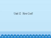Unit 12 How Cool!（课件） 新世纪英语二年级上册