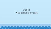 小学英语新世纪版一年级上册Unit 14 What Colour Is My Coat?多媒体教学课件ppt