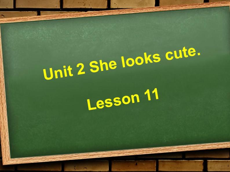 五年级上册英语课件－Unit2 She looks cute(Lesson11) ｜人教精通版 (共14张PPT)01
