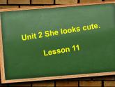 五年级上册英语课件－Unit2 She looks cute(Lesson11) ｜人教精通版 (共14张PPT)