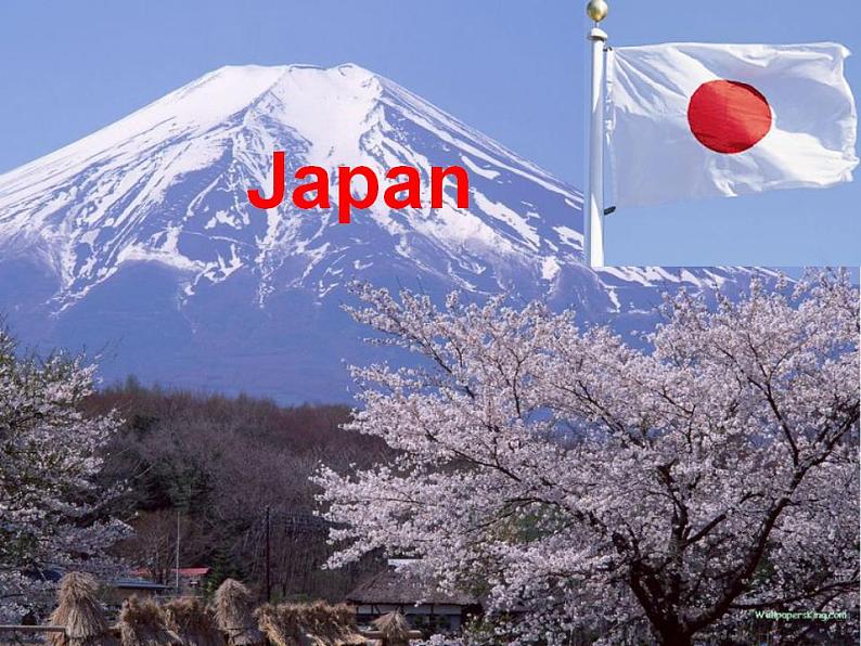 五年级上册英语课件－Unit2 She looks cute(Lesson10) ｜人教精通版 (共14张PPT)03