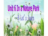 五年级上册英语课件-Unit 6 In a Nature Park-B Let's learn  人教PEP版(共13张PPT)