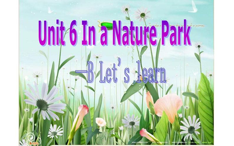 五年级上册英语课件-Unit 6 In a Nature Park-B Let's learn  人教PEP版(共13张PPT)第1页