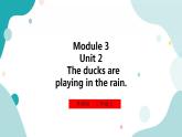 外研版（一年级起点）3上英语 Module 3 Unit 2 The ducks are playing in the rain 课件+教案+练习+音视频