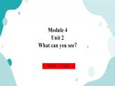 外研版（一年级起点）3上英语 Module 4 Unit 2 What can you see 课件+教案+练习+音视频