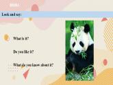 外研版（一年级起点）6上英语 Module 7 Unit 1 Pandas love bamboo 课件+教案+练习+音视频