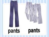 Unit 5 I like those shoes. Lesson 30（課件）人教精通版英語四年級上冊