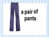 Unit 5 I like those shoes. Lesson 30（課件）人教精通版英語四年級上冊