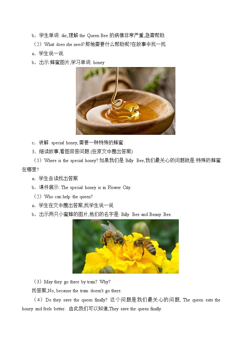 五年级上英语教案-Unit 2  Lesson 12 Billy Bee  冀教版（一起）02