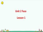 Unit 2 Face Lesson 1 课件+教案+习题+素材