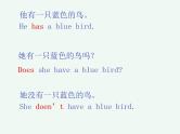 do与does精讲(课件)-2020-2021学年英语六年级下册-全国通用