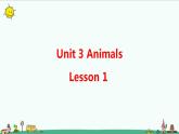 Unit 3 Animals Lesson 1 课件+教案+习题+素材