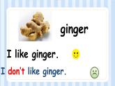 Module 2 Unit 2 I don’t like ginger. （课件）外研版（一起）英语二年级上册