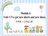 Module 6 Unit 1 I’ve got new shorts and new shoes.（課件）外研版（一起）英語三年級上冊