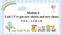 小学英语外研版 (一年级起点)三年级上册Unit 1 I’ve got new shorts and new shoes.教案配套课件ppt