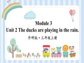 Module 3 Unit 2 The ducks are playing in the rain.（课件）外研版（一起）英语三年级上册