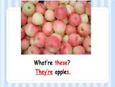 Module 3 Unit 1 There ducks are very naughty.（課件）外研版（一起）英語三年級上冊
