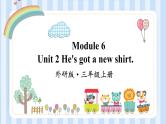 Module 6 Unit 2 He's got a new shirt.（课件）外研版（一起）英语三年级上册