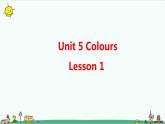 Unit 5 Colours Lesson 1 课件+教案+习题+素材