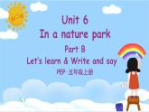 人教PEP五上英语 Unit 6 Part B Let’s learn & Write and say 课件+教案+音视频素材