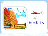 人教PEP五上英语 Unit 6 Part B Let’s learn & Write and say 课件+教案+音视频素材