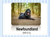 Module 7 Unit 2 It could find the people.（課件）外研版（一起）英語五年級(jí)上冊(cè)