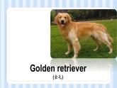 Module 7 Unit 2 It could find the people.（課件）外研版（一起）英語五年級(jí)上冊(cè)