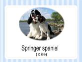 Module 7 Unit 2 It could find the people.（課件）外研版（一起）英語五年級(jí)上冊(cè)