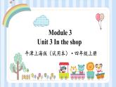 Module 3 Unit 3 In the shop（课件）牛津上海版（试用本）四年级上册