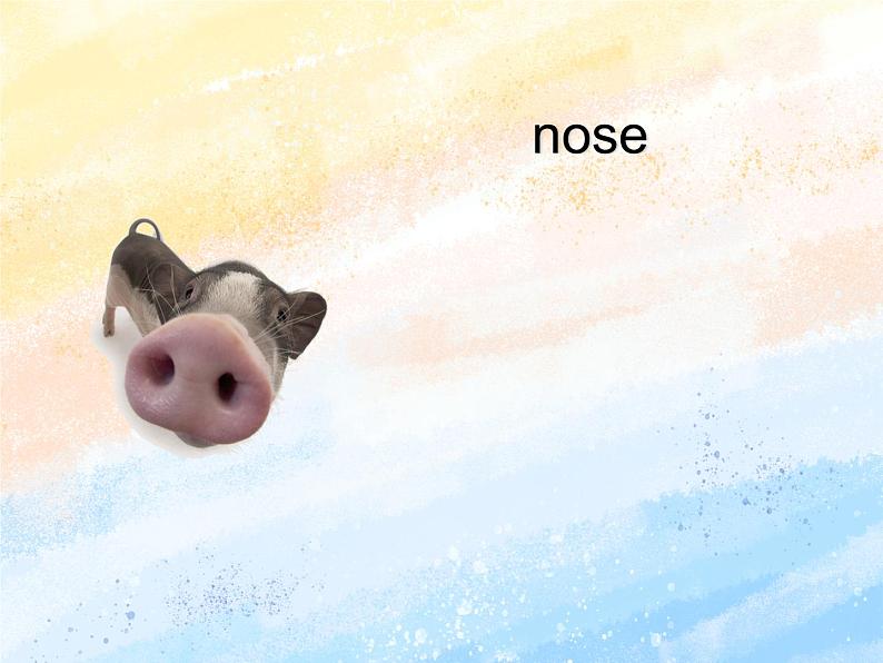 冀教版（一起）2上英语 Lesson 12 I Smell with My Nose 课件+教案+音频02