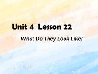 冀教版 (一年级起点)三年级上册Lesson 22 What Do They Look Like?优质课ppt课件